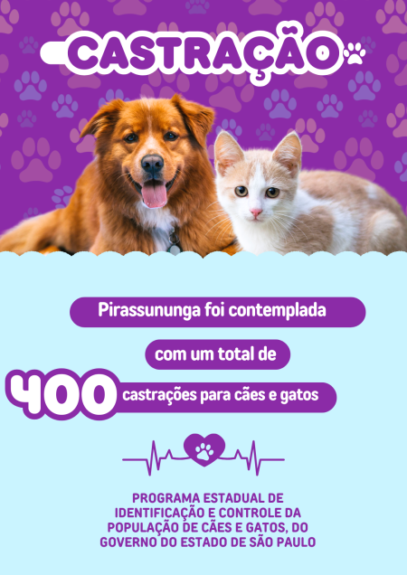 Castração para 400 animais