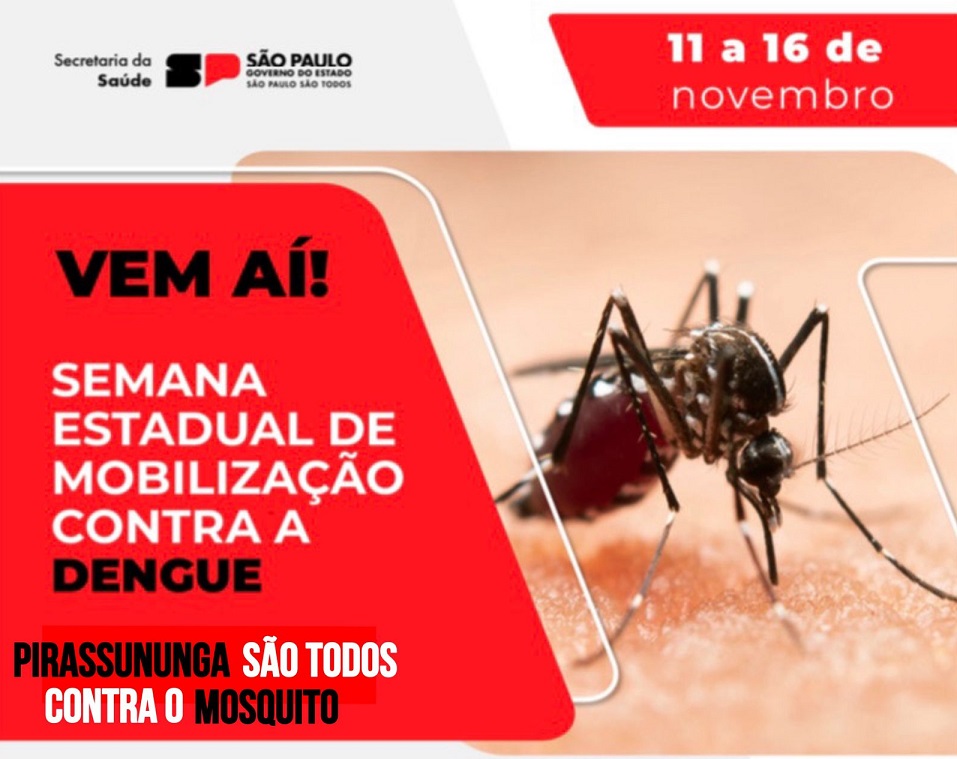 Semana de Mobilização contra Arboviroses começa na segunda-feira (11)