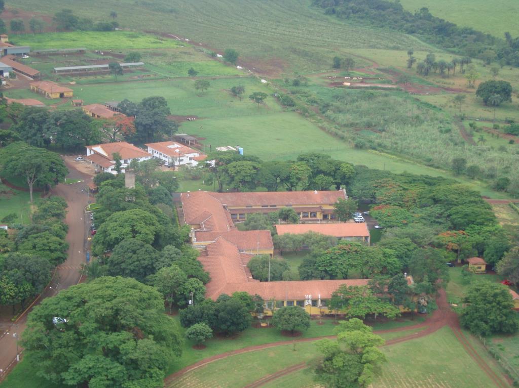 Imersão animal - FZEA-USP