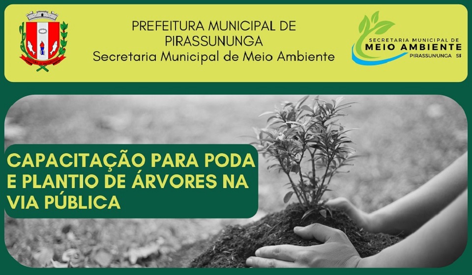 Meio Ambiente promove capacitação para poda e plantio de árvores na via pública