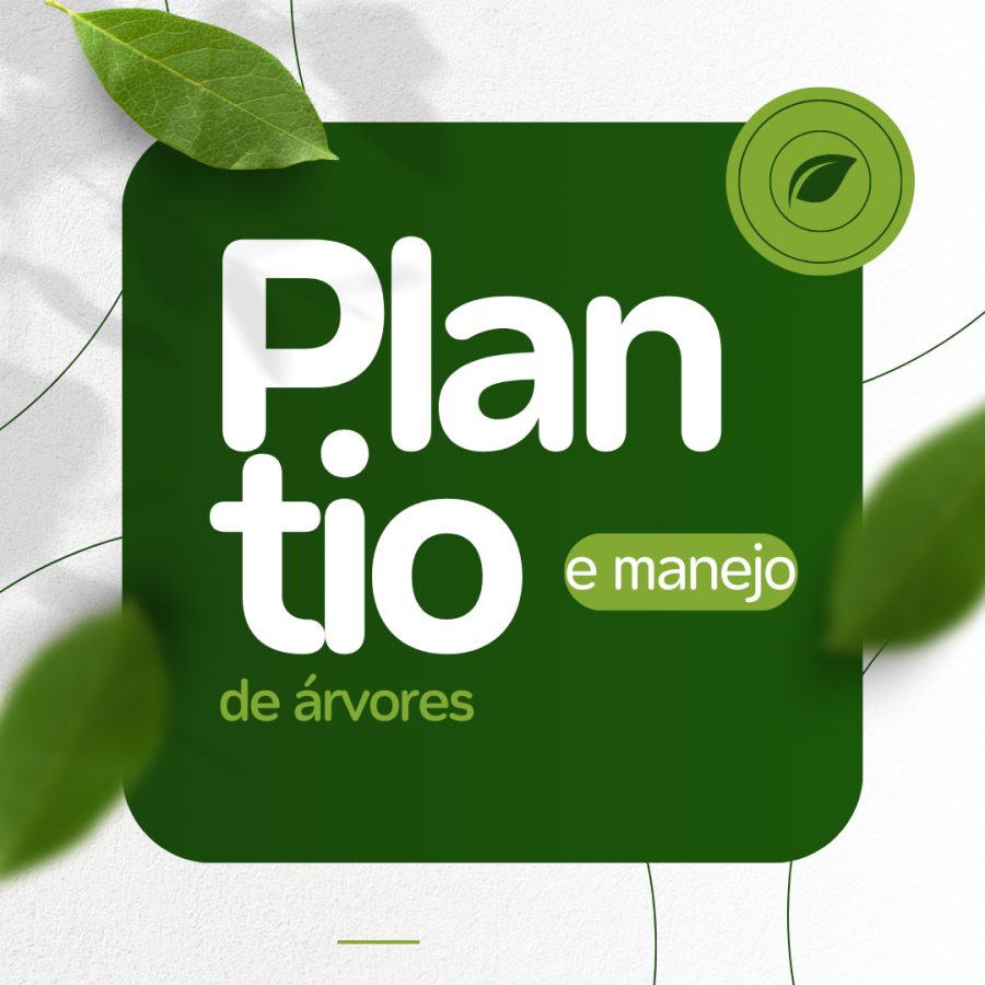 Plantio e manejo de árvores