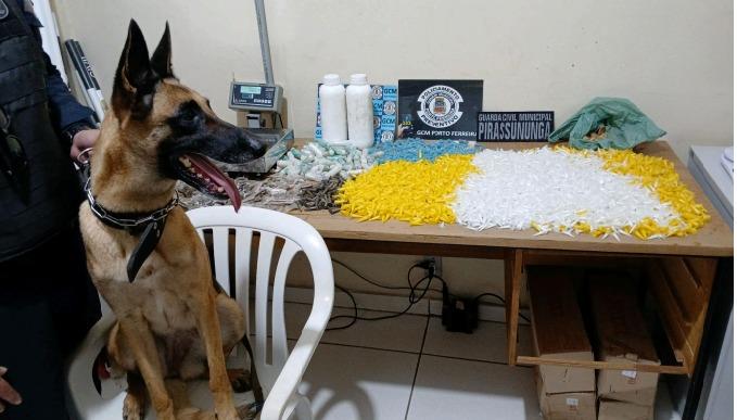 Resumo de ações da GCM