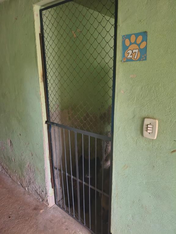 Reforma nos portões do abrigo municipal de animais