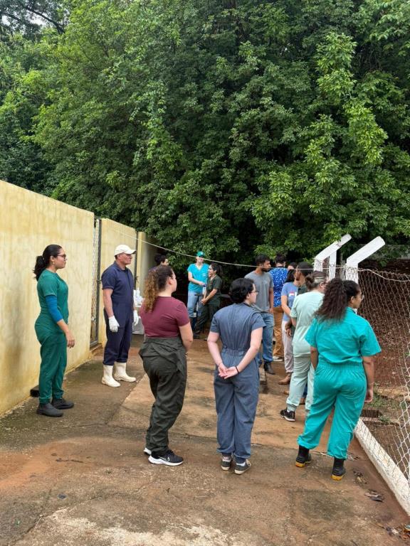 Visita de autoridades ao canil municipal