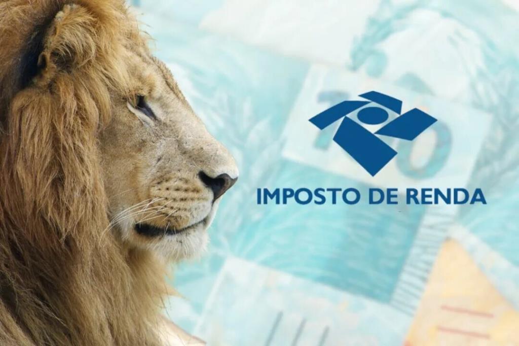 Informe sobre divergência no informe do Imposto de Renda 2026