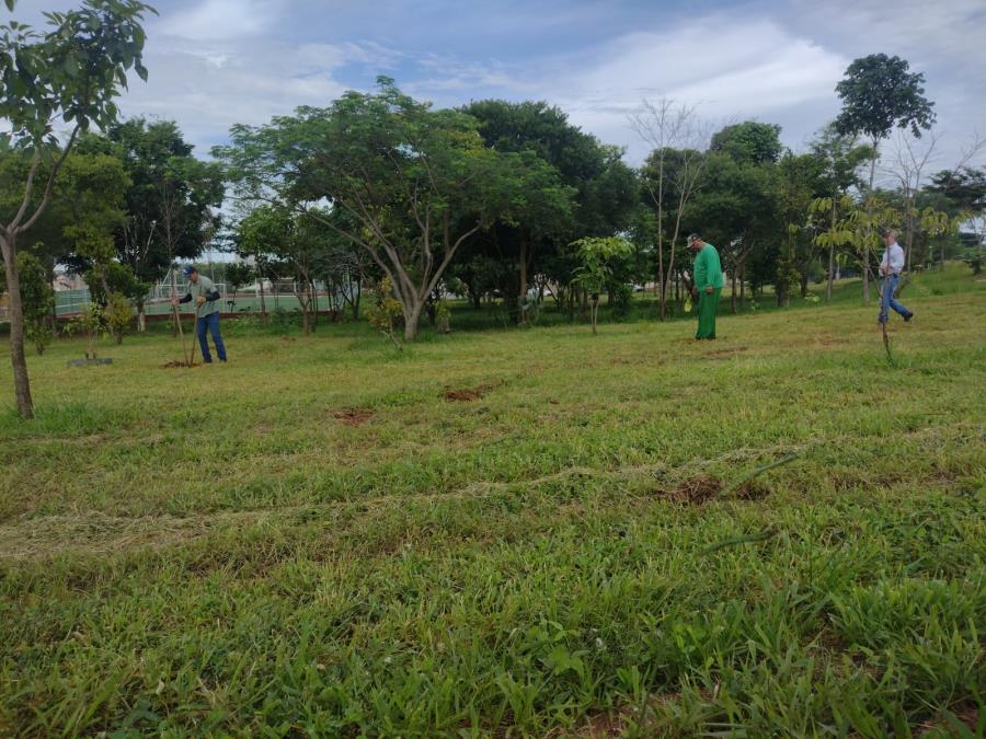 Recomposição da Área Verde: 300 Novas Árvores no Bairro Thomaz Rodrigues Alckmin