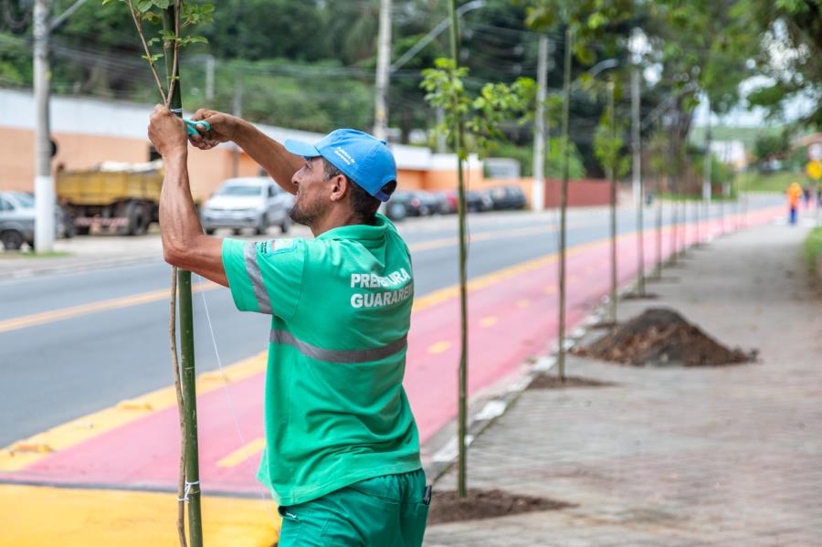 Prefeitura de Guararema planta mais de 90 exemplares de árvores ao longo de ciclovia