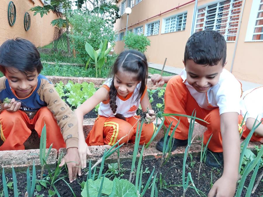 Alunos da Educação de Guararema cultivam conhecimento, sustentabilidade e empreendedorismo