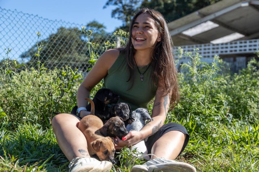Guararema celebra o Dia Mundial dos Animais com ações de bem-estar e espaços pet friendly