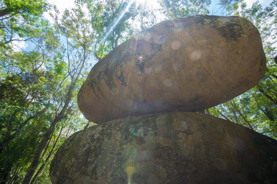 Guararema celebra o Dia Mundial do Meio Ambiente com conquistas e ações de referência em sustentabilidade