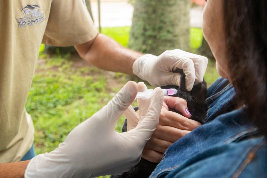 Prefeitura de Guararema promove ações de vacinação antirrábica nos bairros