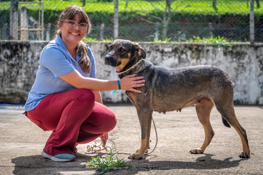 Prefeitura de Guararema reforça importância de cuidados com cães e gatos durante o inverno