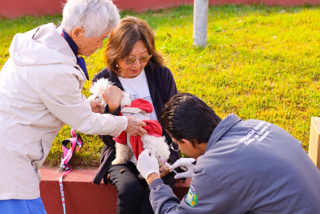 Prefeitura de Guararema promove vacinação antirrábica de cães e gatos no Nogueira
