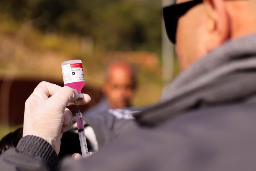 Vacinação antirrábica segue nos bairros de Guararema nesta sexta-feira (25)