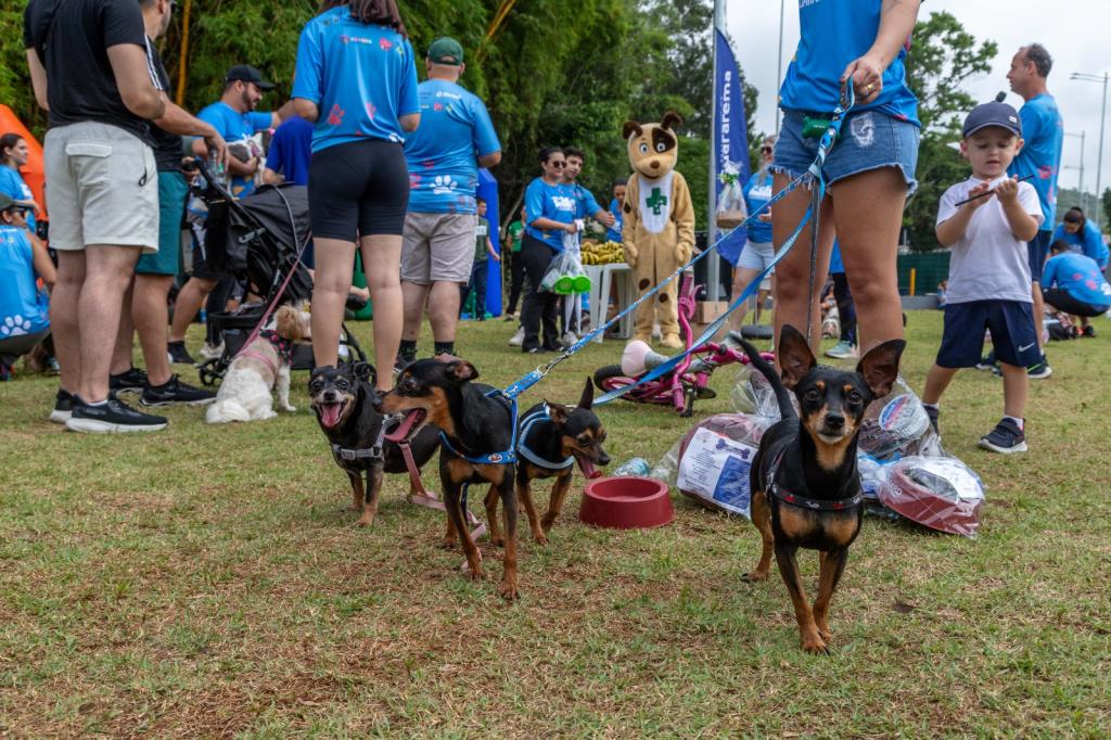 Guararema realiza 3ª CãoMinhada no próximo dia 6 de dezembro