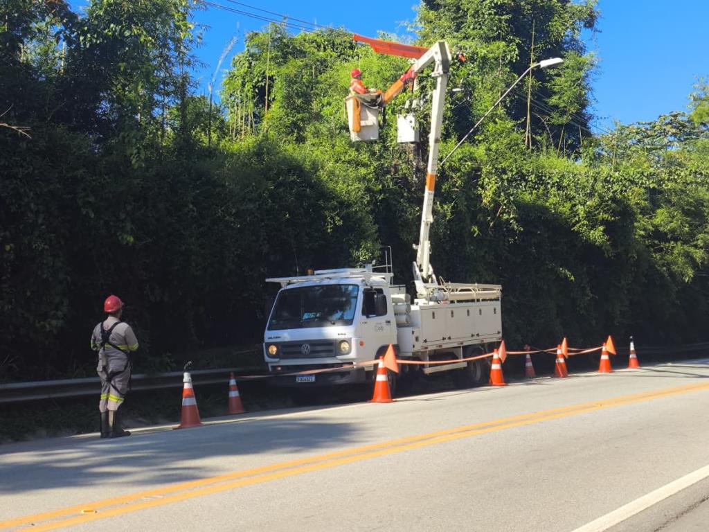 Guararema recebe mutirão de podas de árvores e modernização da rede elétrica