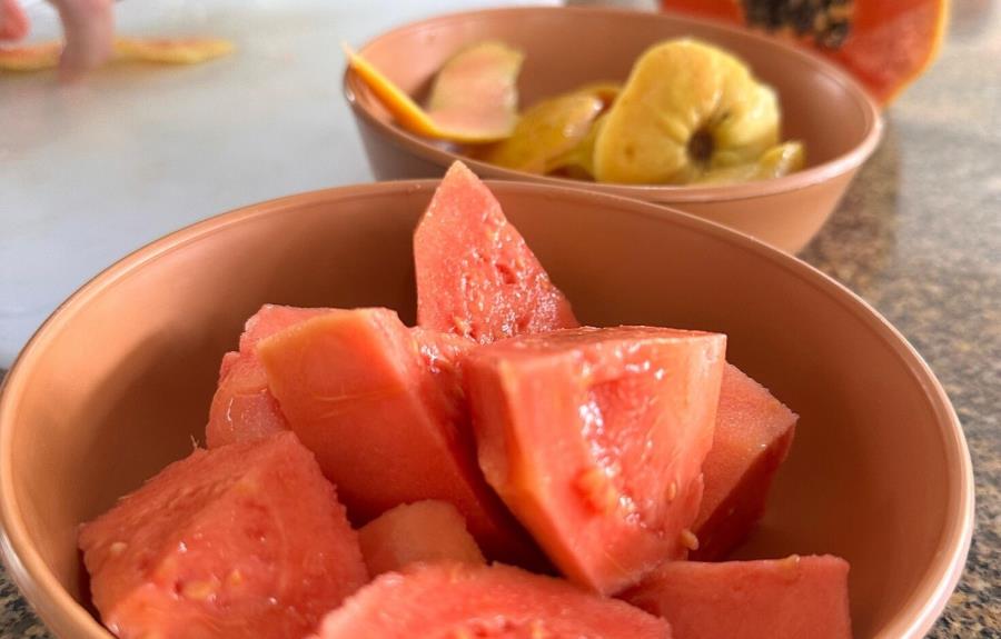 Prefeitura de Guararema lança cartilha sobre introdução alimentar nas creches