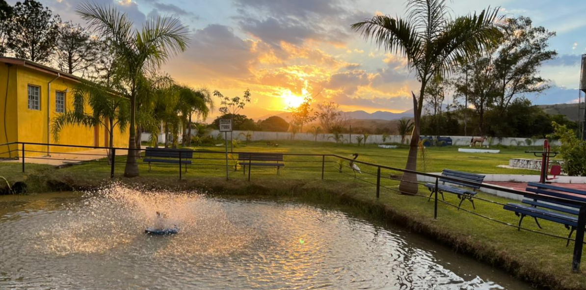 Hotel Fazenda Pé da Serra - Pet Friendly