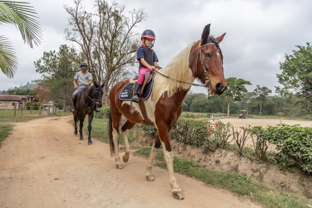 Haras Recanto do Itapema