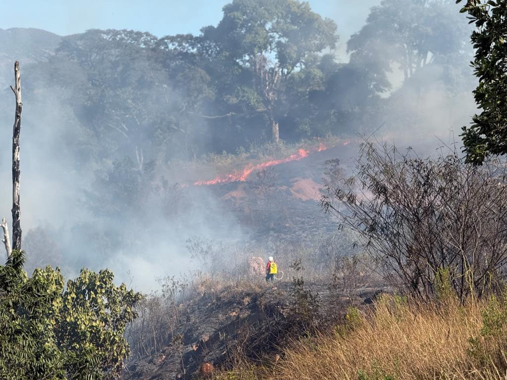 Incêndio atinge uma área de pastagem às margens da Fernão Dias e mobiliza equipes de emergência em Extrema