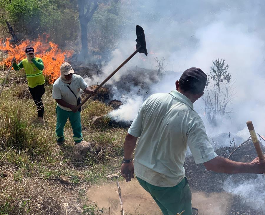 Incêndio devasta área verde no bairro Vila Rica e mobiliza Corpo de Bombeiros, Defesa Civil e moradores