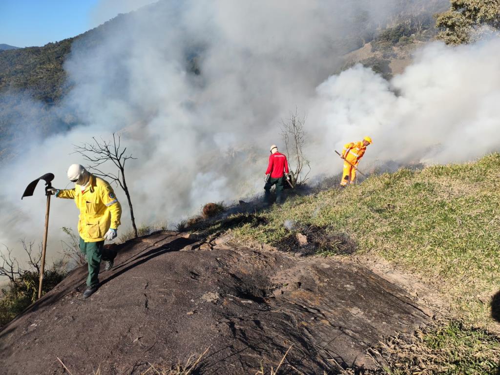 Equipes de emergências controlam incêndio na Serra do Lopo e resgatam dois gatos com vida durante a ação