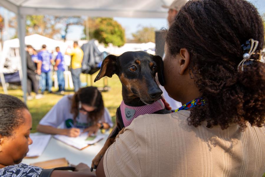 Bairros Vivos reúne centenas de pessoas para lazer e serviços no Cecap