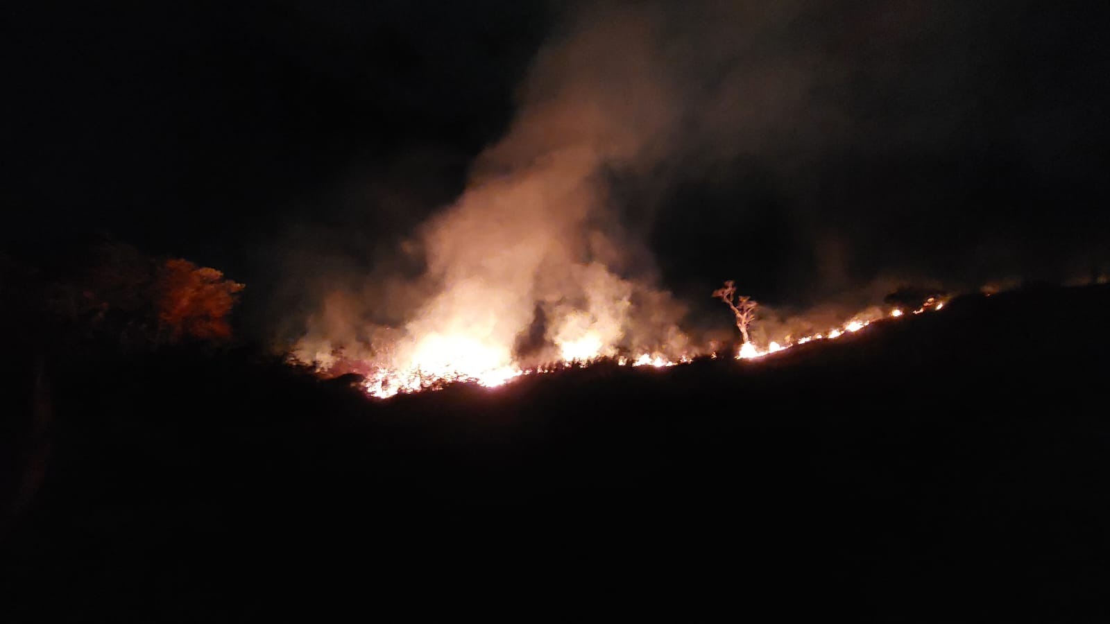 Defesa Civil e Corpo de Bombeiros controlam incêndio de grandes proporções na região do bairro Independência