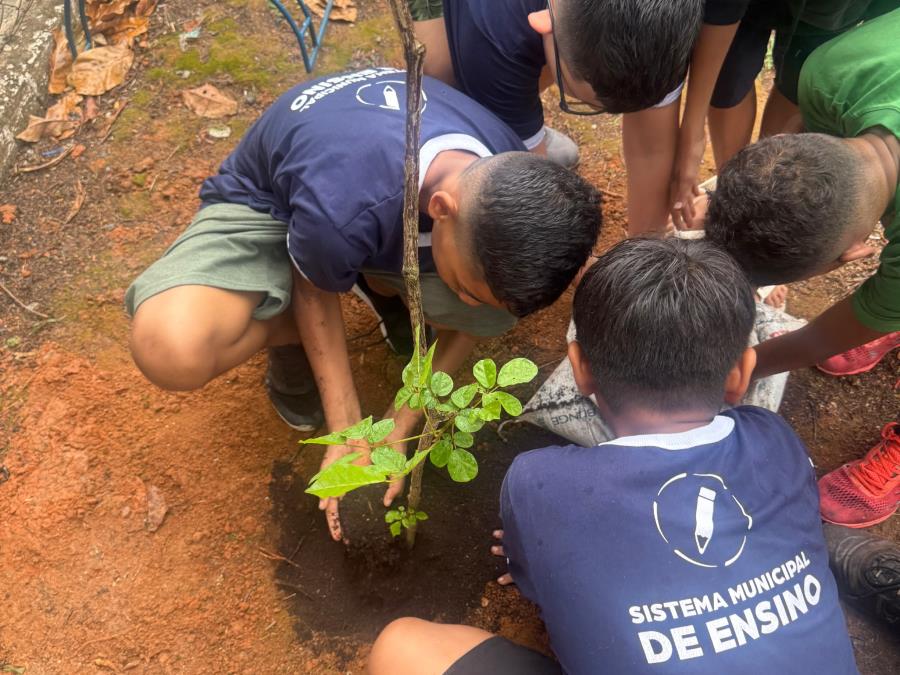 ‘Dias Verdes’ promove distribuição de 1.130 mudas e plantio de 30 árvores nativas