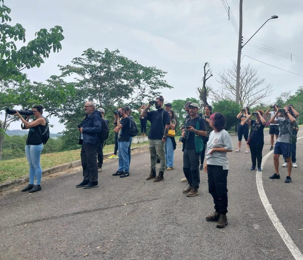 Taubaté recebe evento de avistamento de pássaros no dia 13 de dezembro