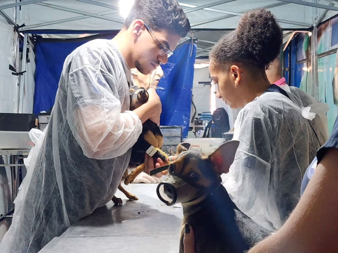 Castramóvel realiza mutirão para castração de 600 cães e gatos neste final de semana