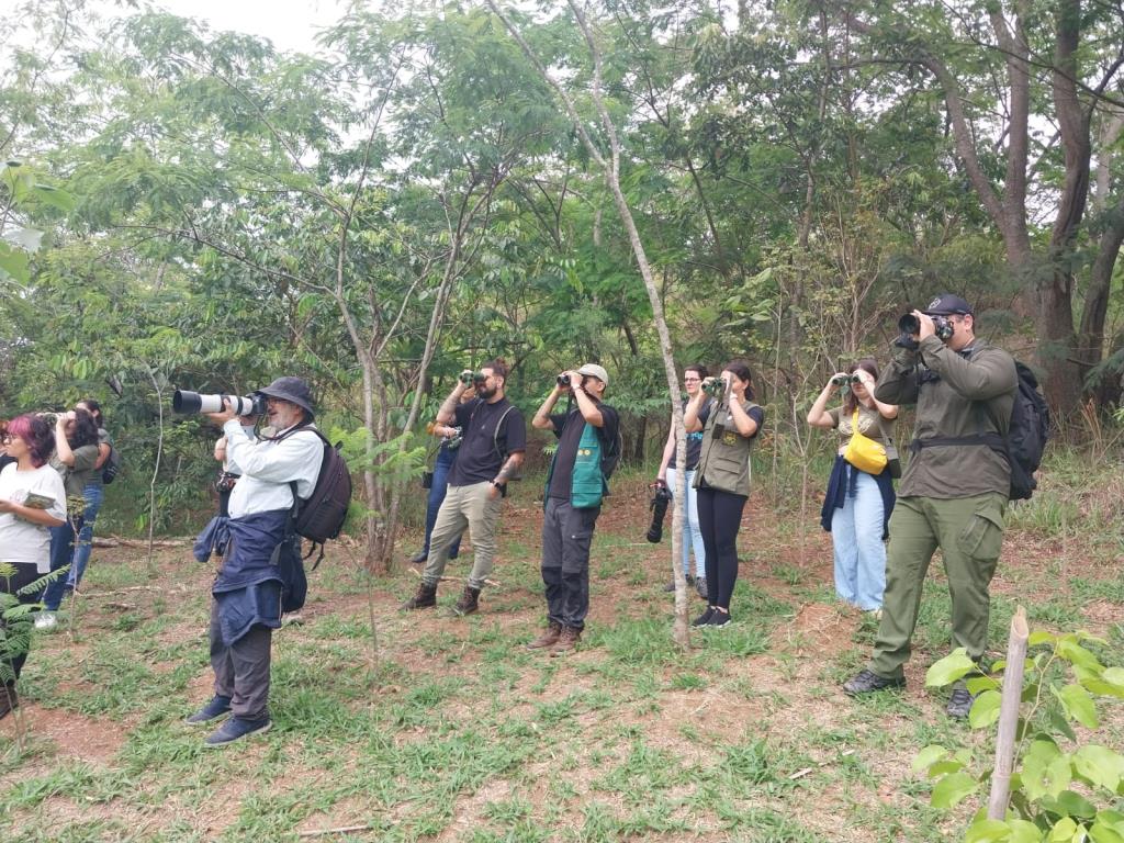 Evento de avistamento de pássaros no Parque do Itaim é cancelado após alerta da Defesa Civil