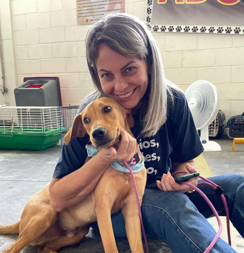 Nova feira de adoção de animais é realizada neste sábado