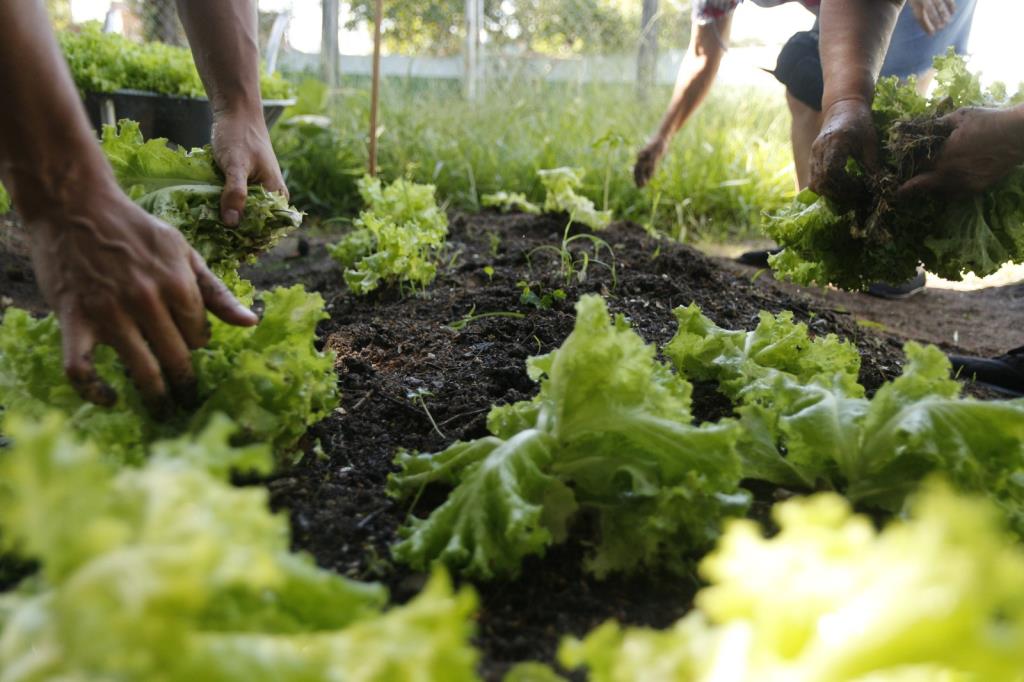 Oficinas do programa Estratégia Alimenta Cidade estão com inscrições abertas em Taubaté