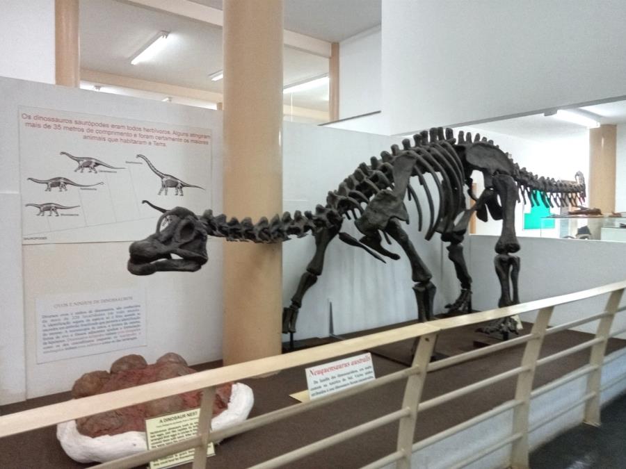 Museu de História Natural recebe lançamento de livro sobre a paleontologia no Vale do Paraíba