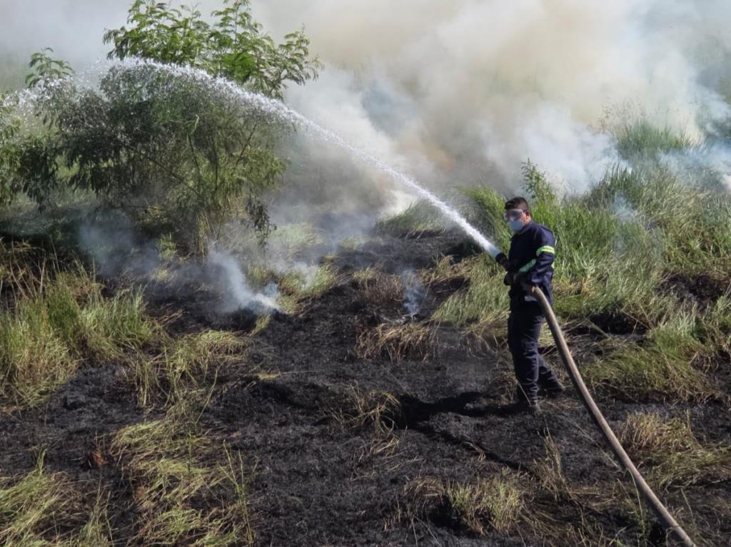 Defesa Civil de Taubaté combate incêndio em área de vegetação na região de Quiririm