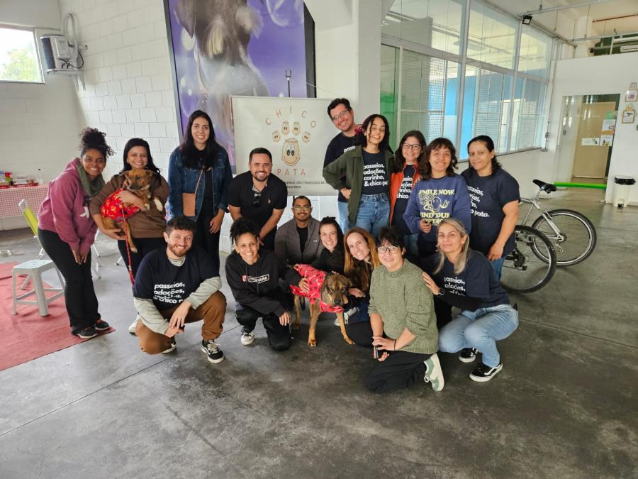 Feira promove adoção de seis animais neste final de semana em Taubaté
