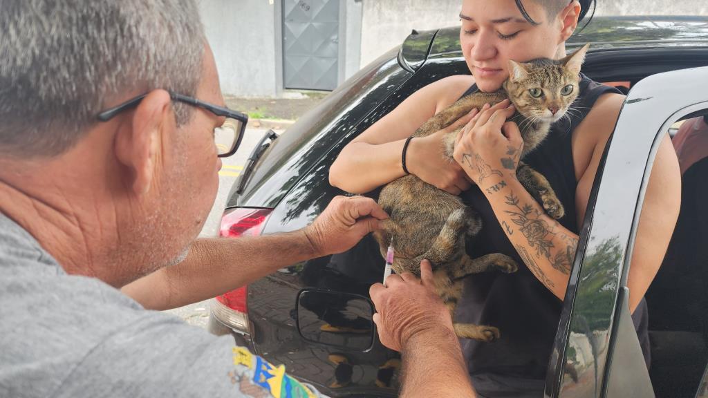 Prefeitura realiza vacinação antirrábica de cães e gatos no Novo Horizonte