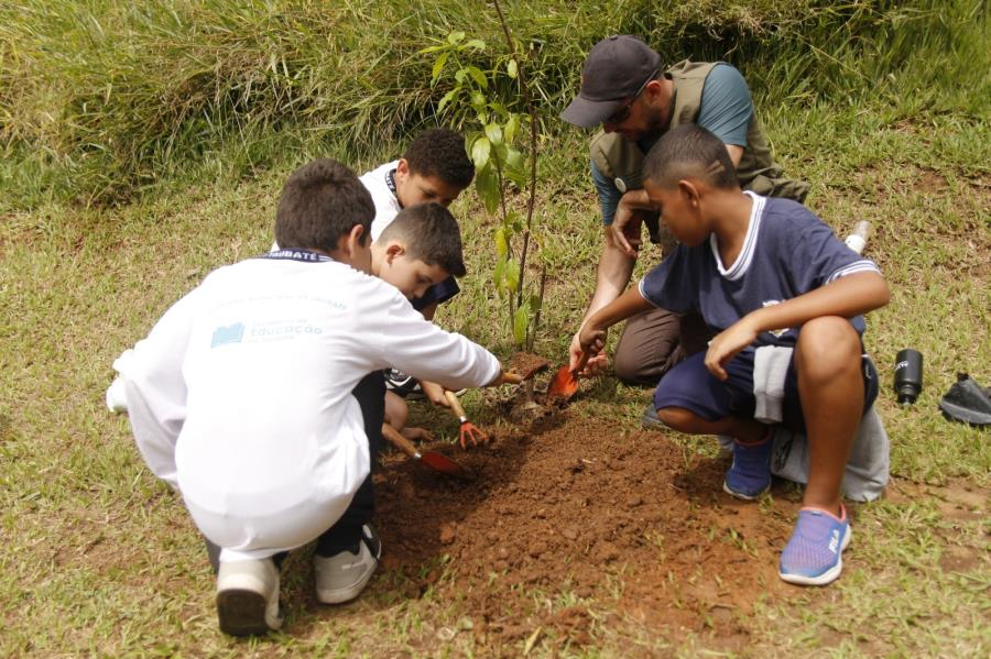 Dias Verdes: Taubaté tem programação especial, plantio de árvores e doação de 1.000 mudas