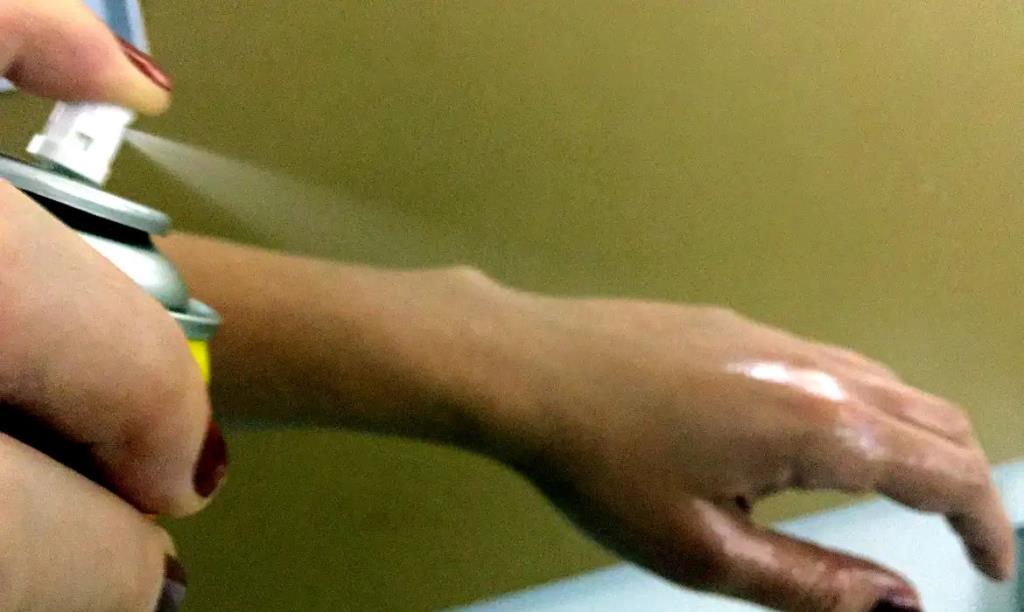 Procon Taubaté e Controle de Animais Sinantrópicos divulgam pesquisa de preços de repelentes e reforçam ações de prevenção à dengue