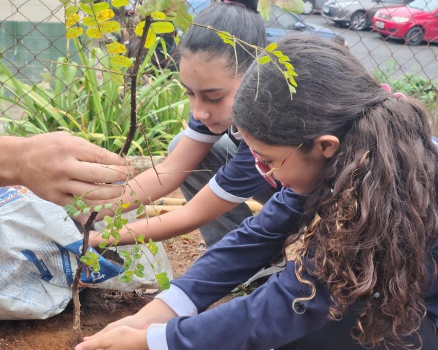 Alunos realizam plantio de árvores em escola do bairro Monte Belo