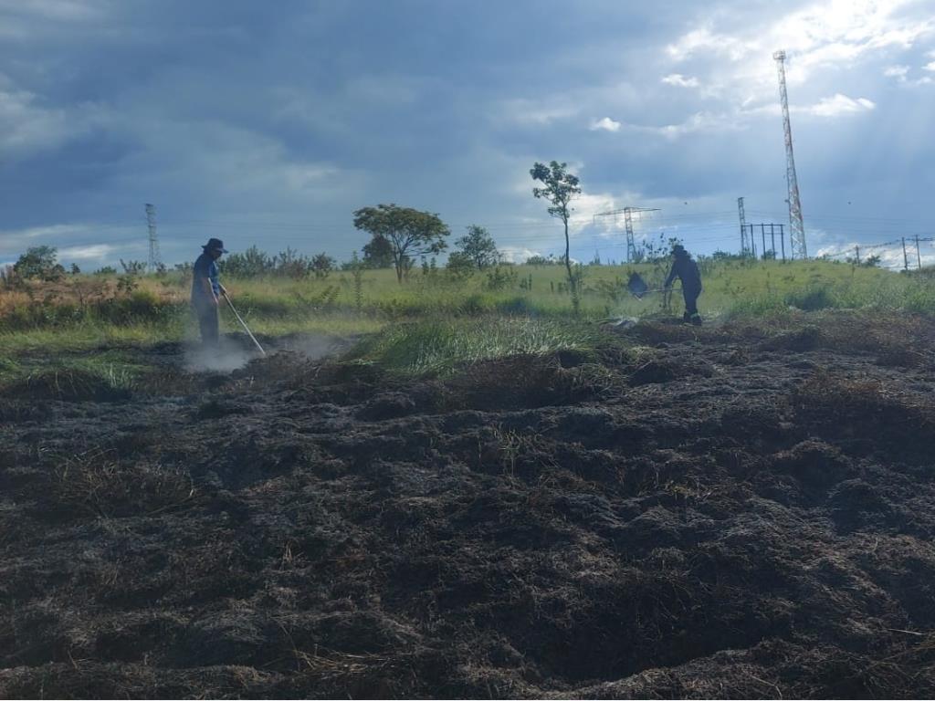 Defesa Civil de Taubaté combate incêndios em área de vegetação na avenida Dom Pedro I