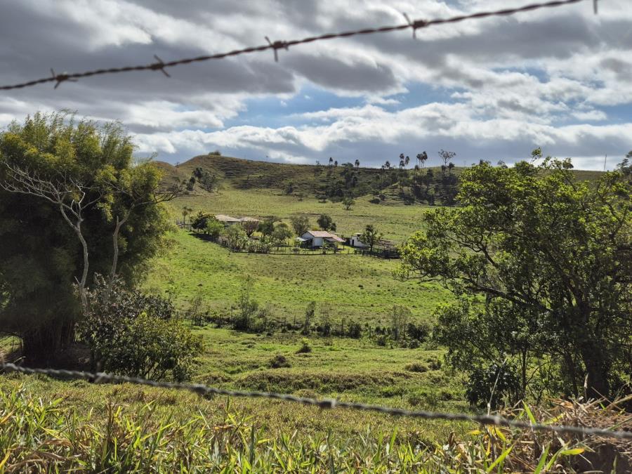 Certificado permitirá a produtores de Taubaté vender produtos de origem animal em todo o Brasil