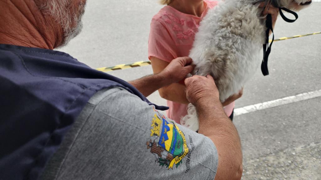 Prefeitura realiza vacinação antirrábica de cães e gatos no Cecap