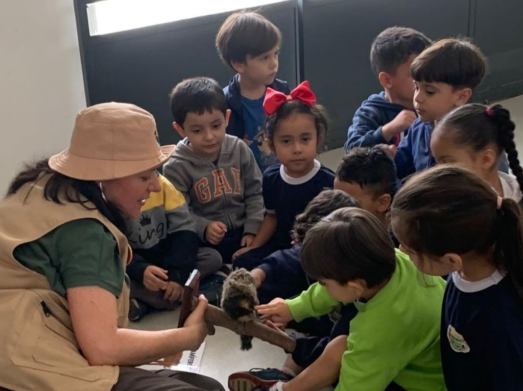 Museu de História Natural realiza oficina de escavação de fósseis para alunos do maternal