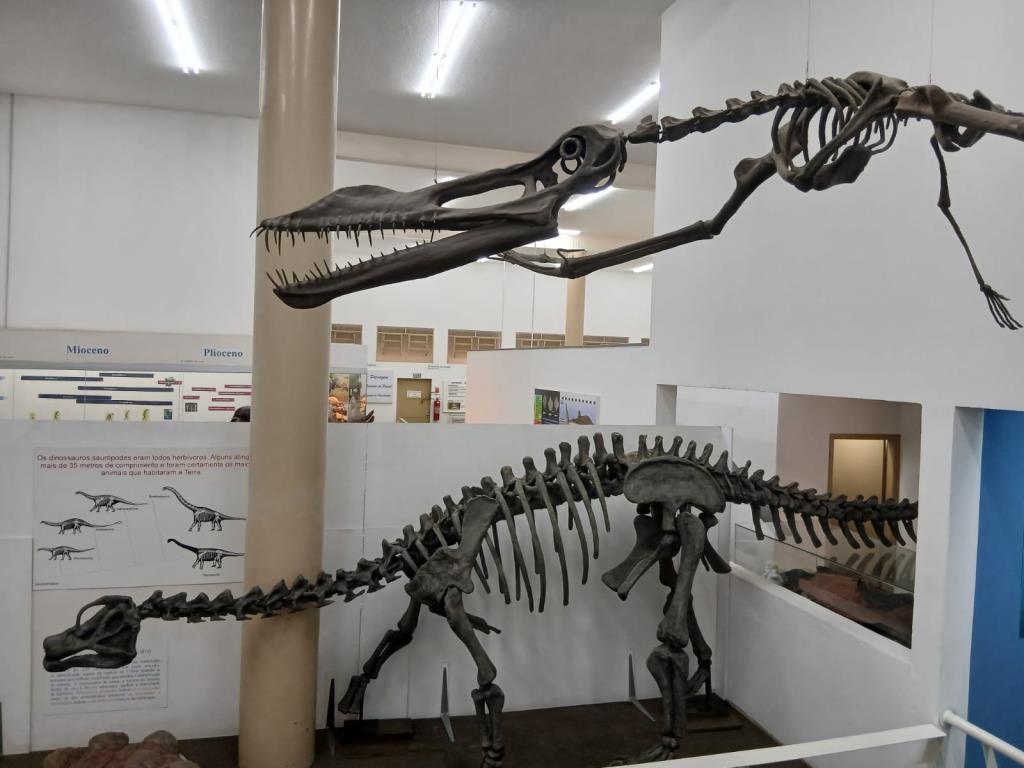 Museu de História Natural promove atividades sobre dinossauros neste fim de semana