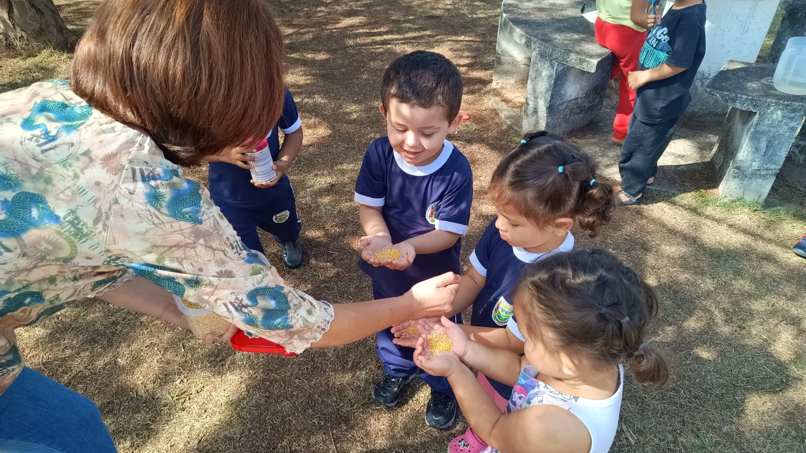 Creche na Vila São José promove ‘Jardim das Aves’ com observação de pássaros e contato com a natureza