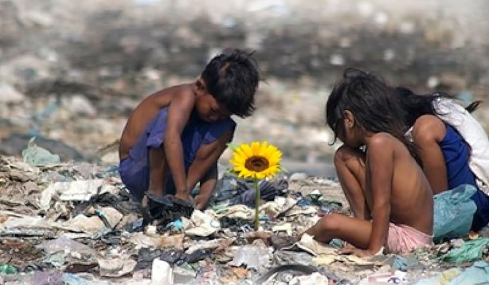 CINEMA: Ilha das flores