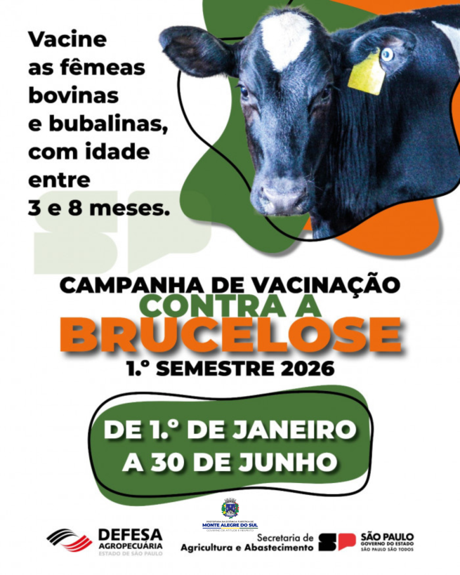 Campanha de Vacinação contra a Brucelose – 1º semestre de 2026 vai até o dia 30 de junho