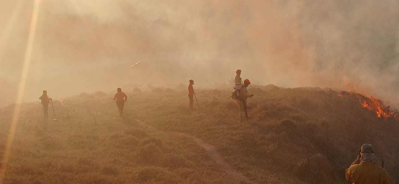 Defesa Civil atua em incêndio em área de pasto no bairro Ponte Preta